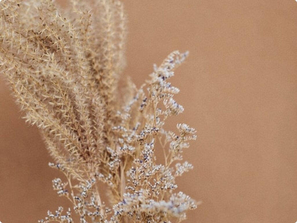 Why aromatherapy is helpful