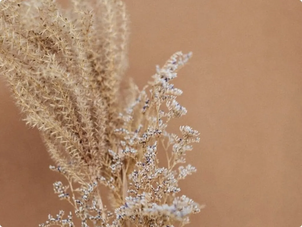 Why aromatherapy is helpful